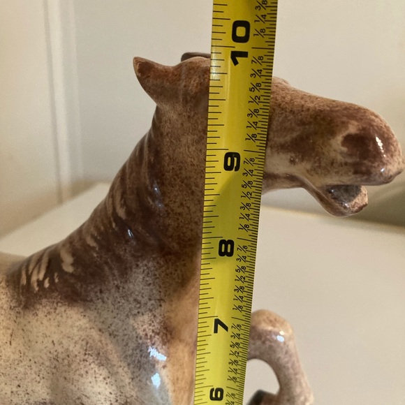 Horse 🐎 - Picture 4 of 5